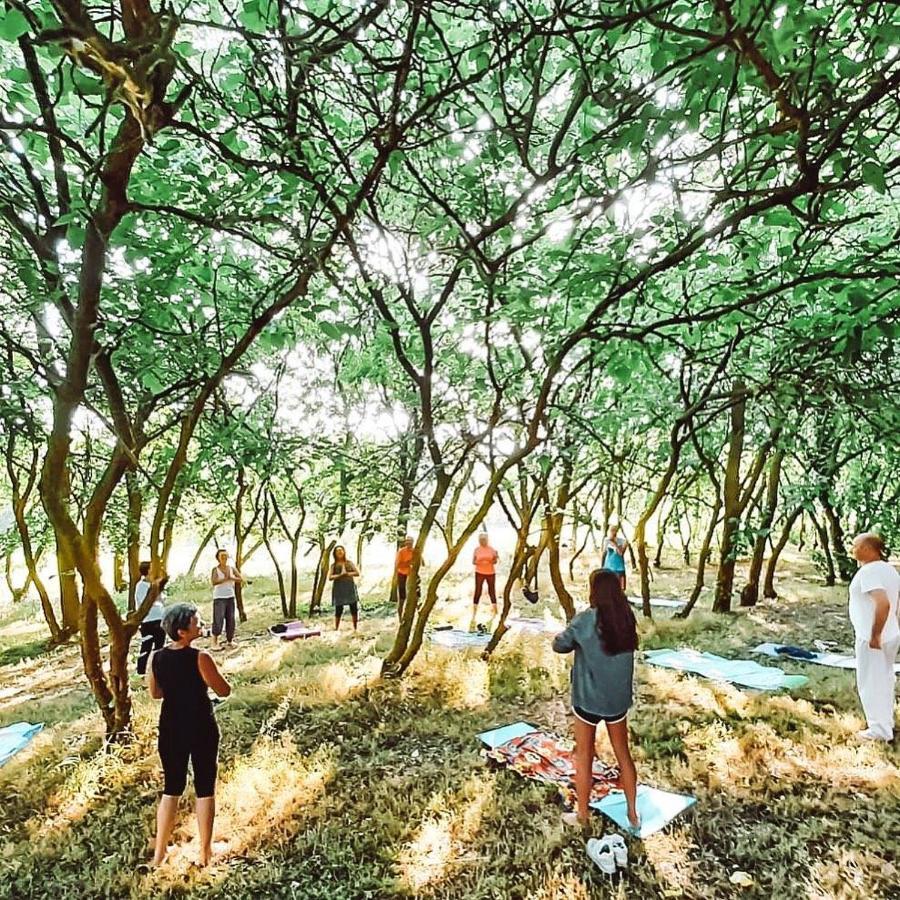 Agriturismo La Sorgente Camerano Eksteriør bilde