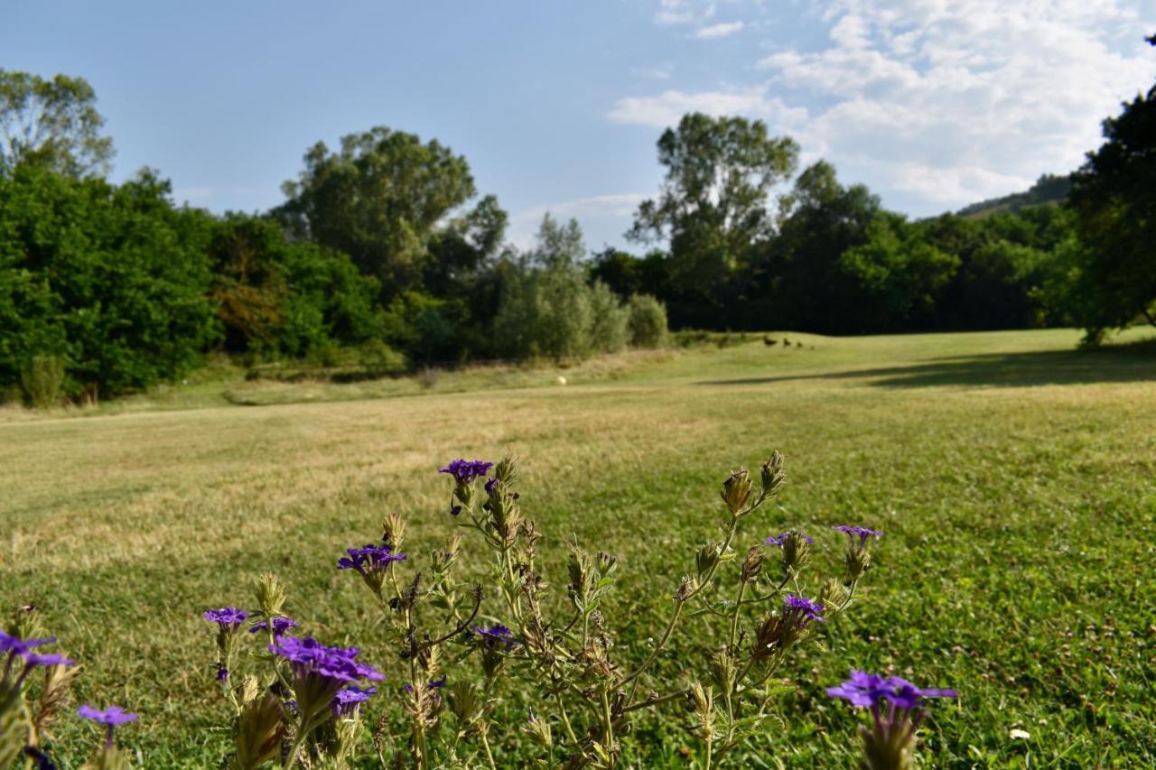 Agriturismo La Sorgente Camerano Eksteriør bilde