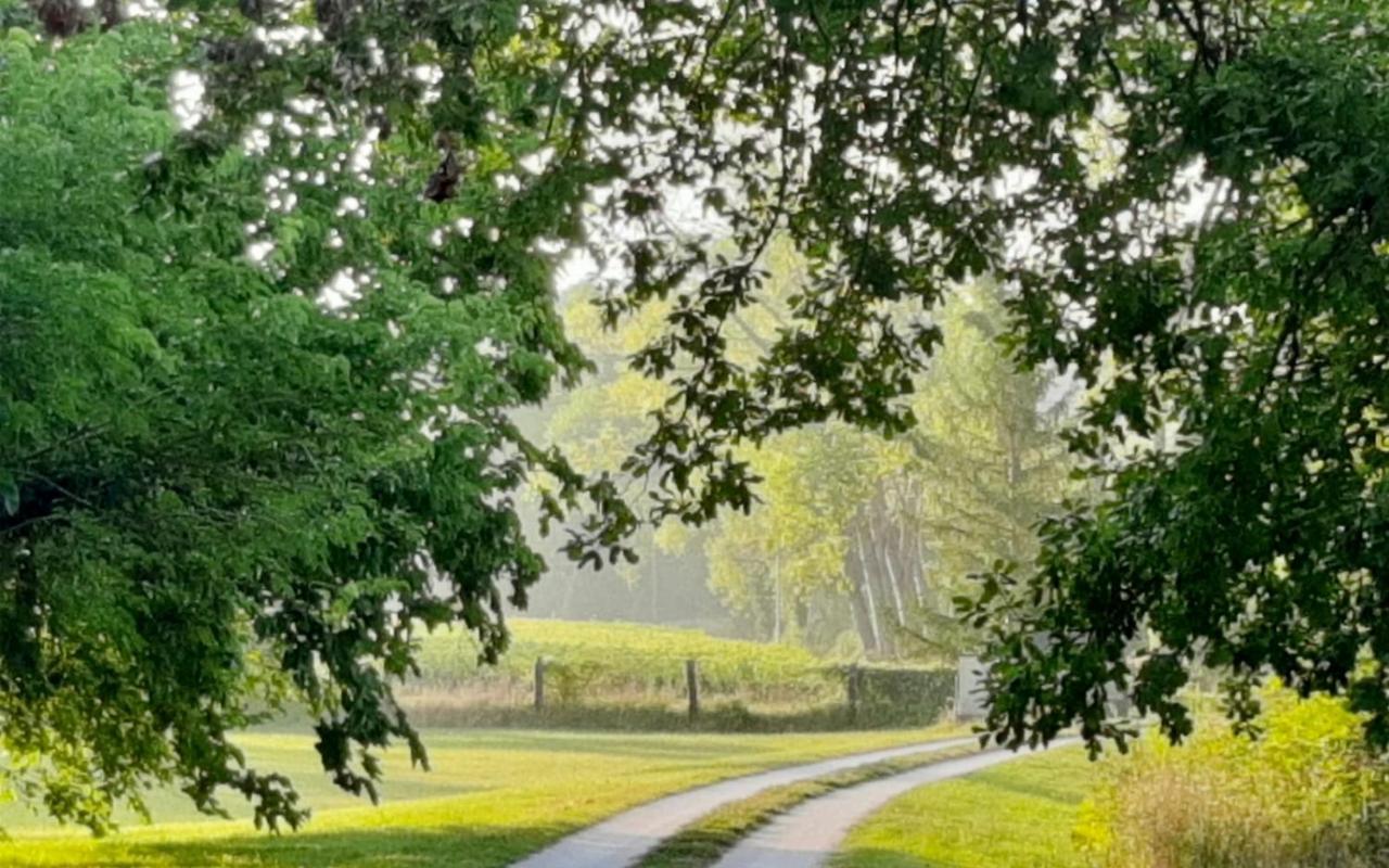Agriturismo La Sorgente Camerano Eksteriør bilde