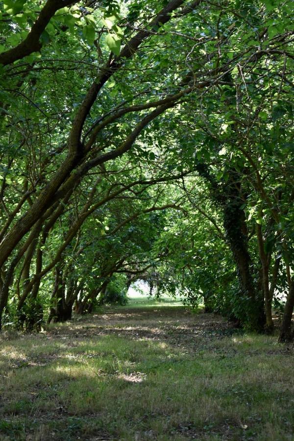 Agriturismo La Sorgente Camerano Eksteriør bilde