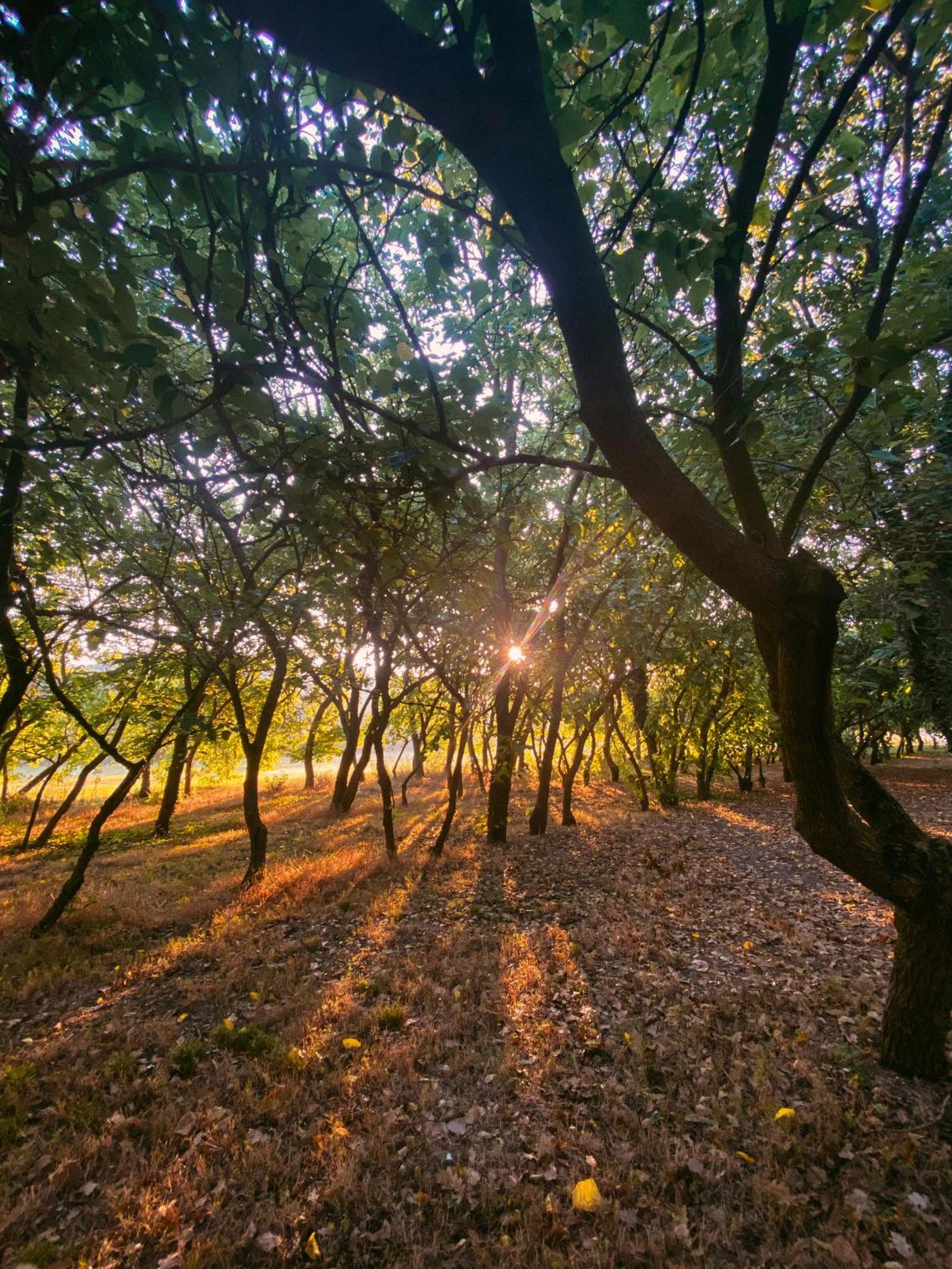 Agriturismo La Sorgente Camerano Eksteriør bilde