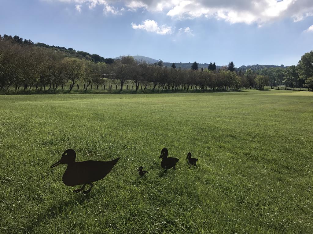 Agriturismo La Sorgente Camerano Eksteriør bilde