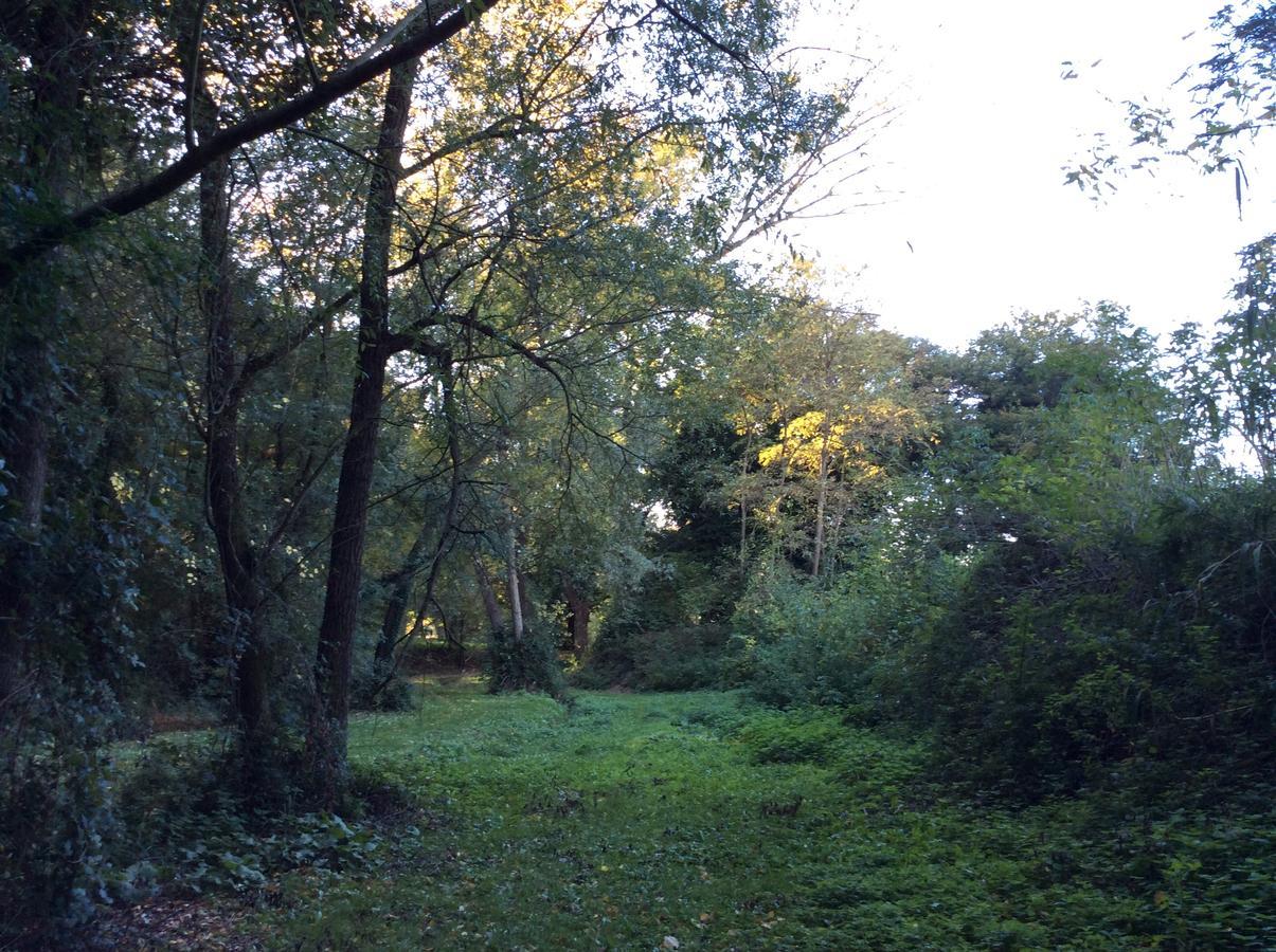 Agriturismo La Sorgente Camerano Eksteriør bilde