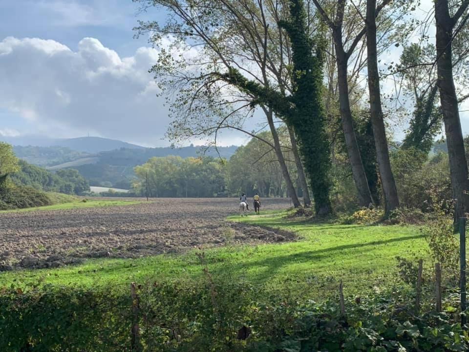 Agriturismo La Sorgente Camerano Eksteriør bilde